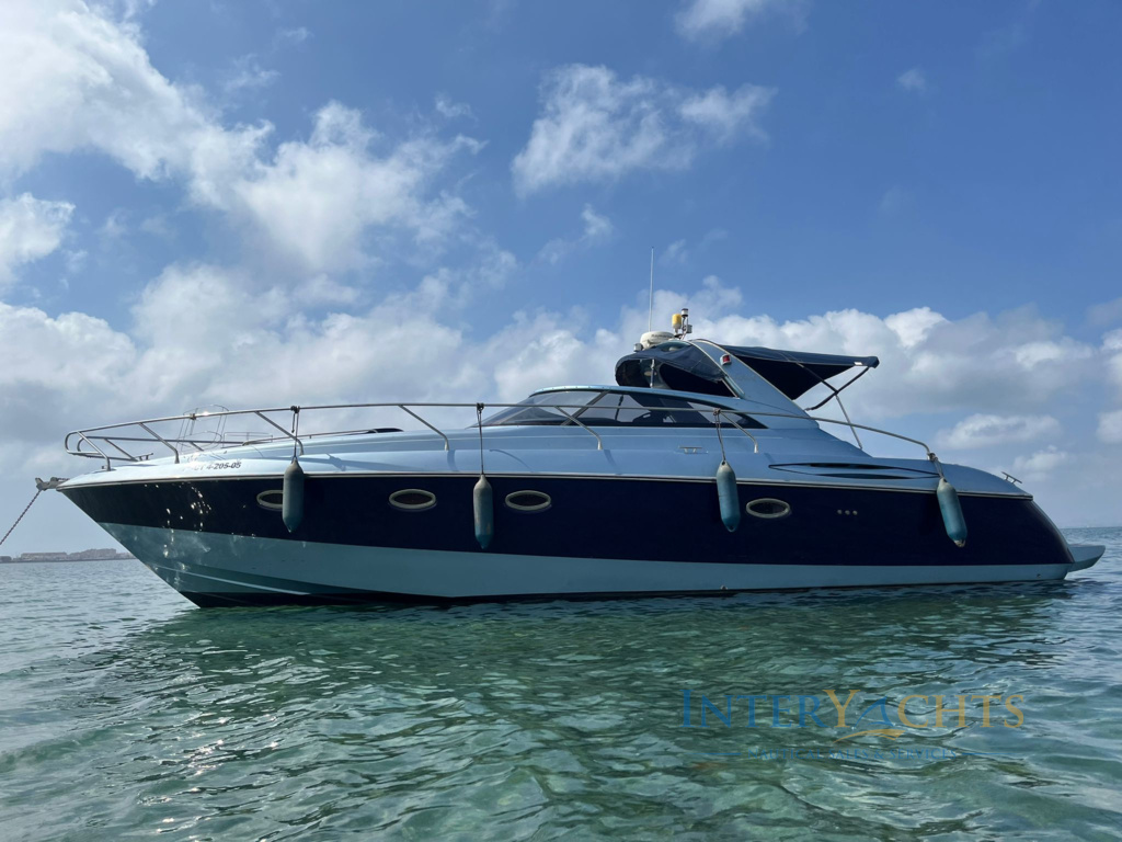 Sinergia 40