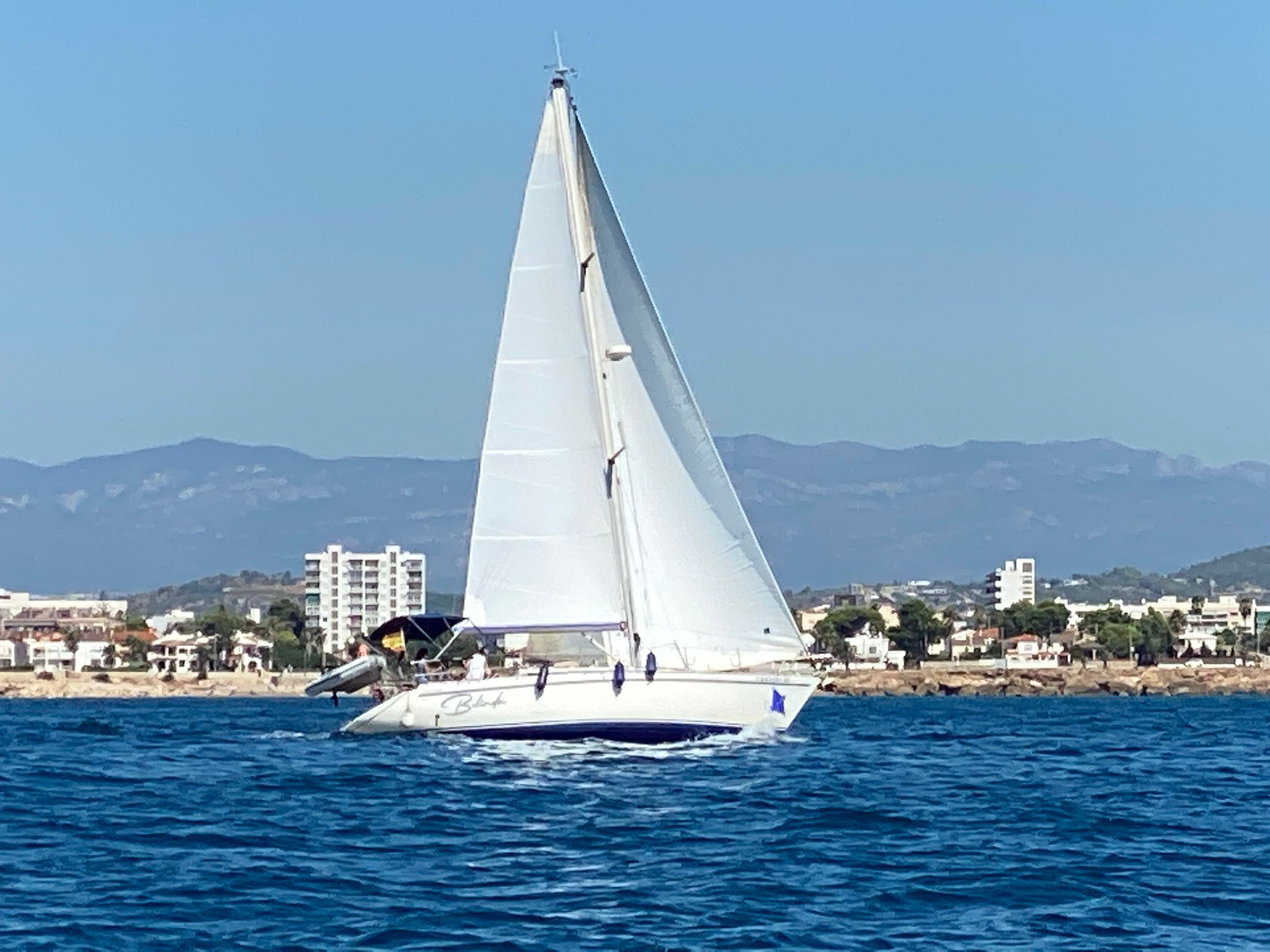 BRISA 40