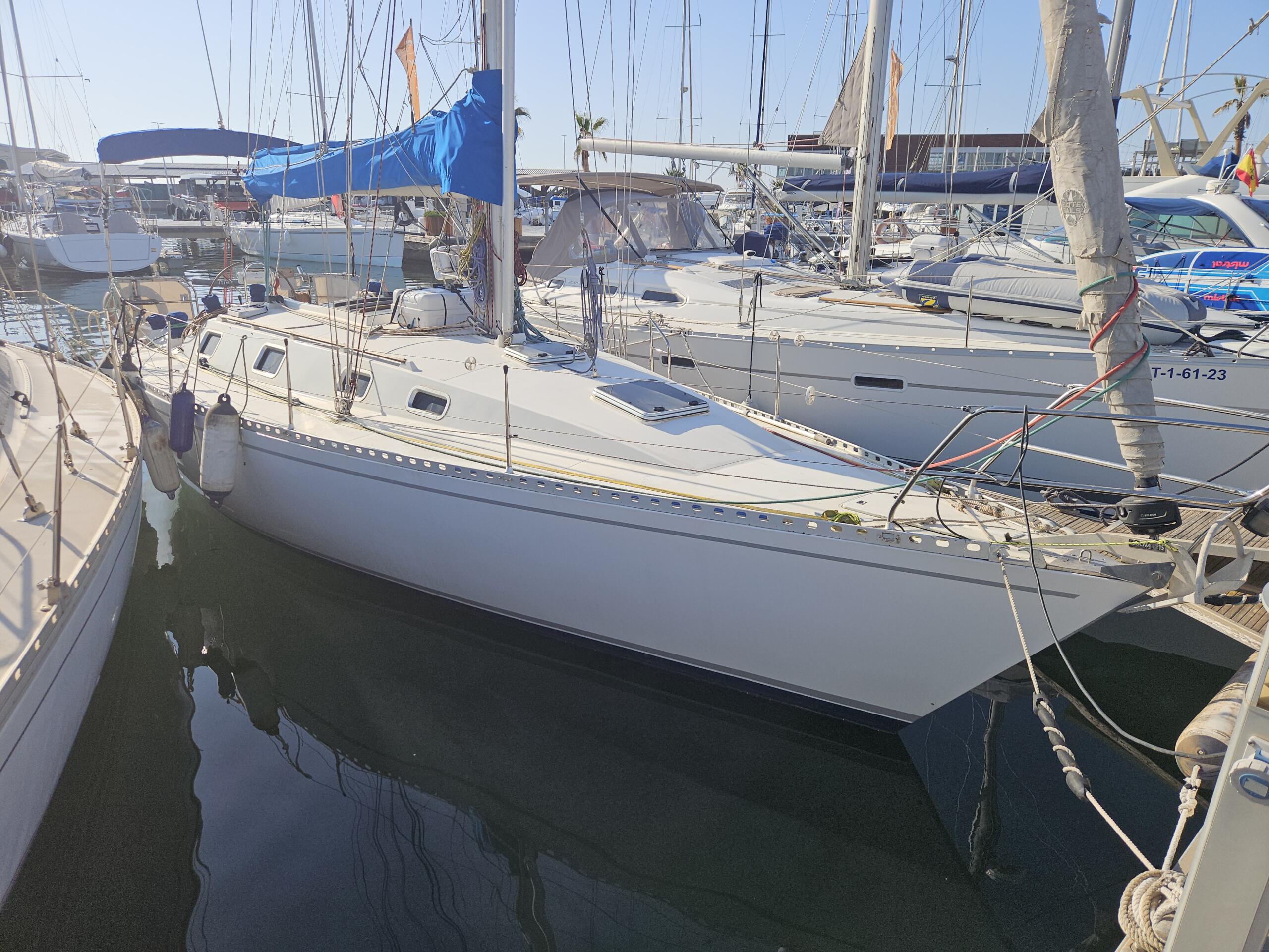 Furia 37
