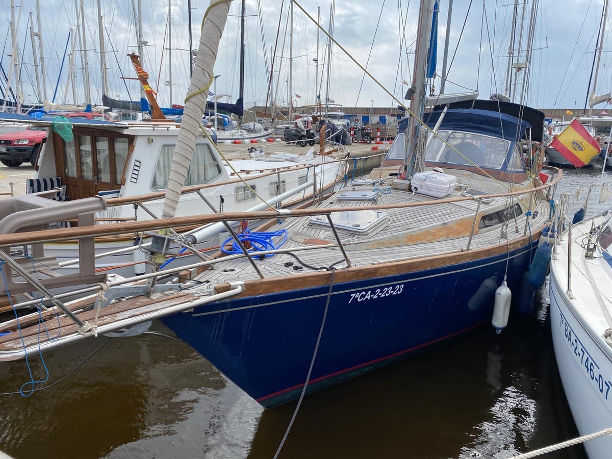Puma 37