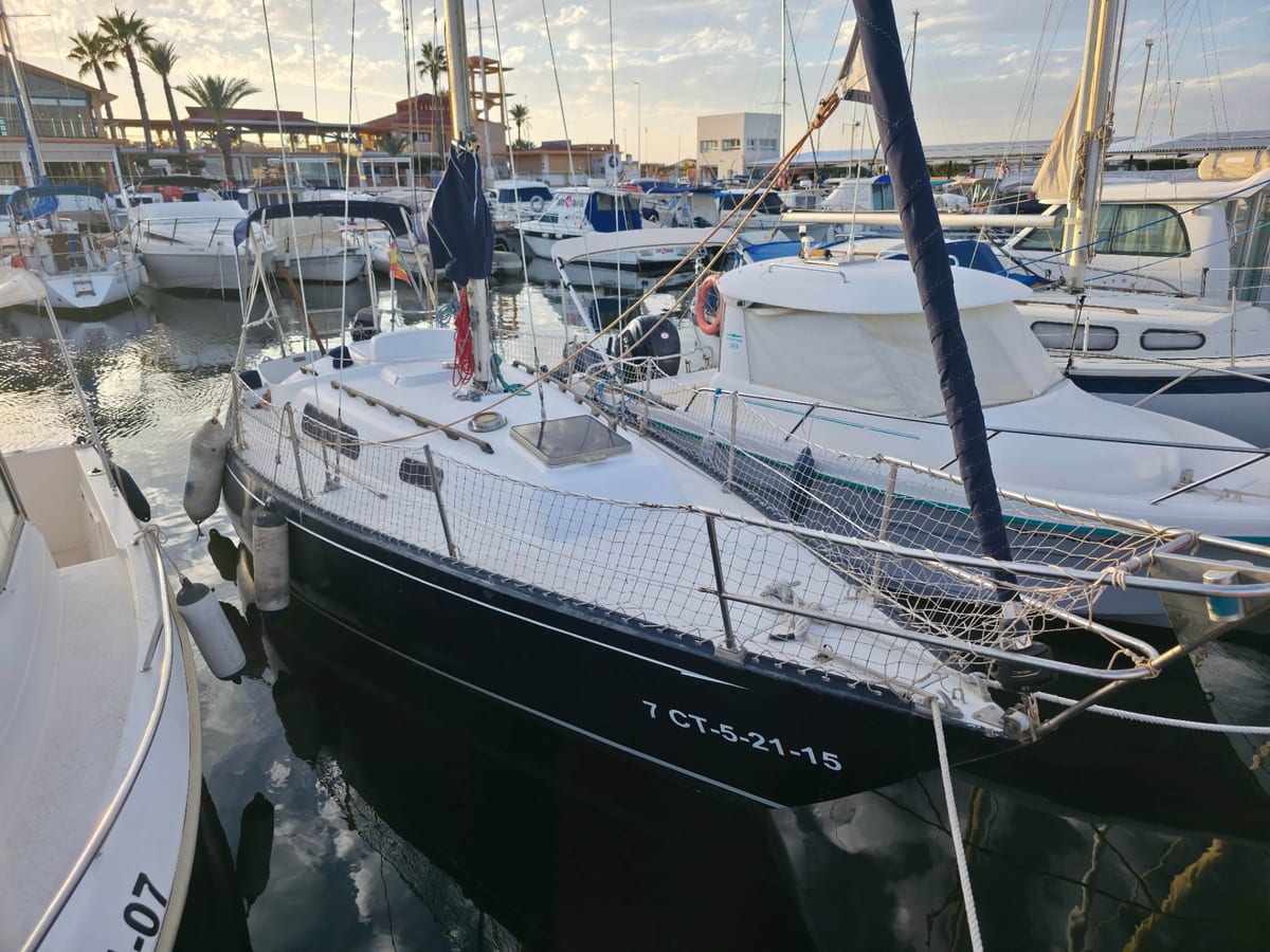 Puma 26