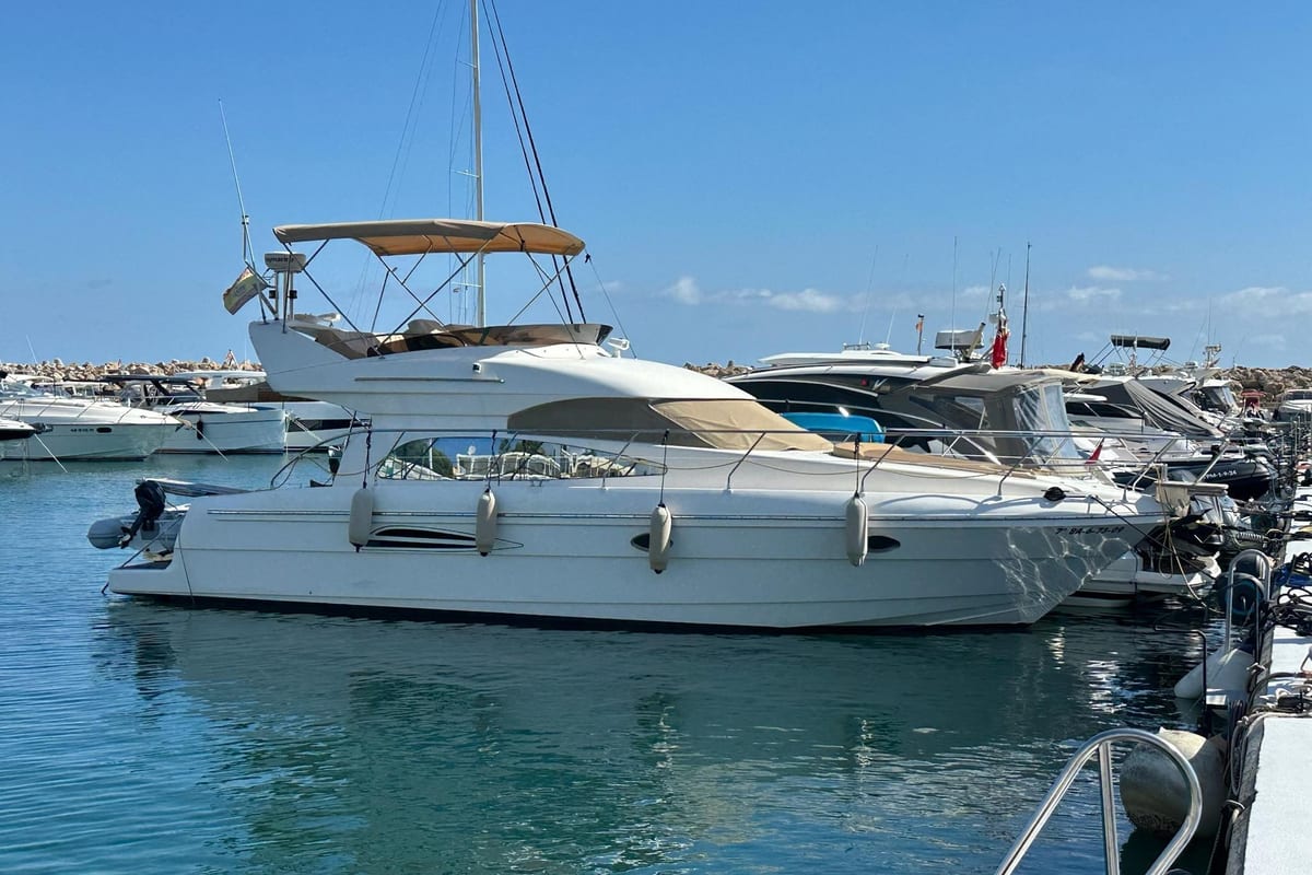 Astondoa 394